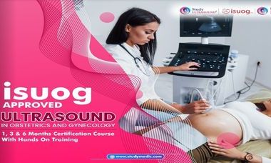 StudyUltrasound Background.jpg