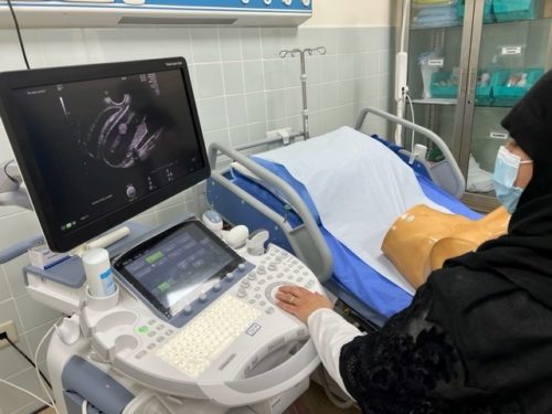 ISUOG Basic Training – IAU Ultrasound In Obstetrics And Gynecology Workshop